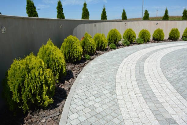 Best Custom Driveway Pavers  in Sanborn, NY